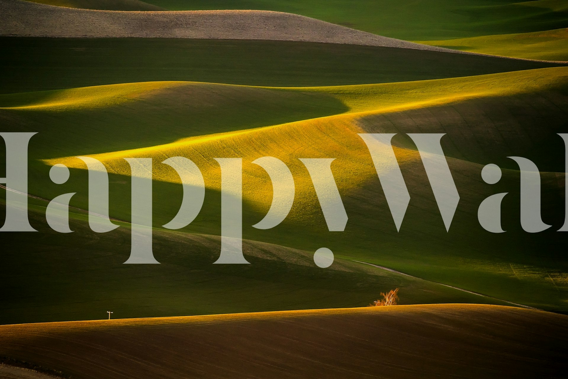 Pole and tree wallpaper in a room setting