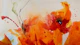 Burnt orange abstract poppy bloom