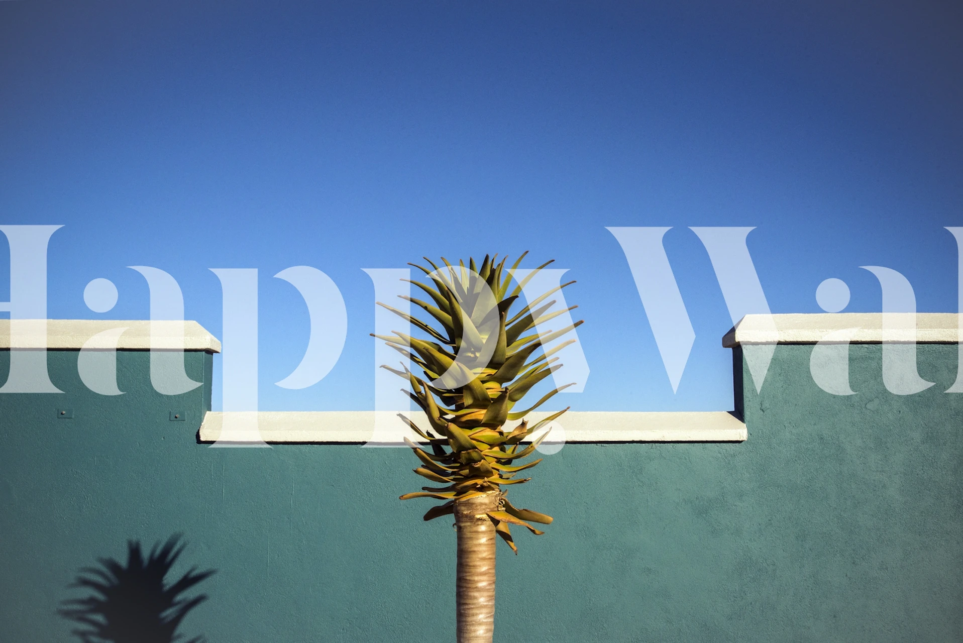 Lush green cactus and palm design on blue background wallpaper