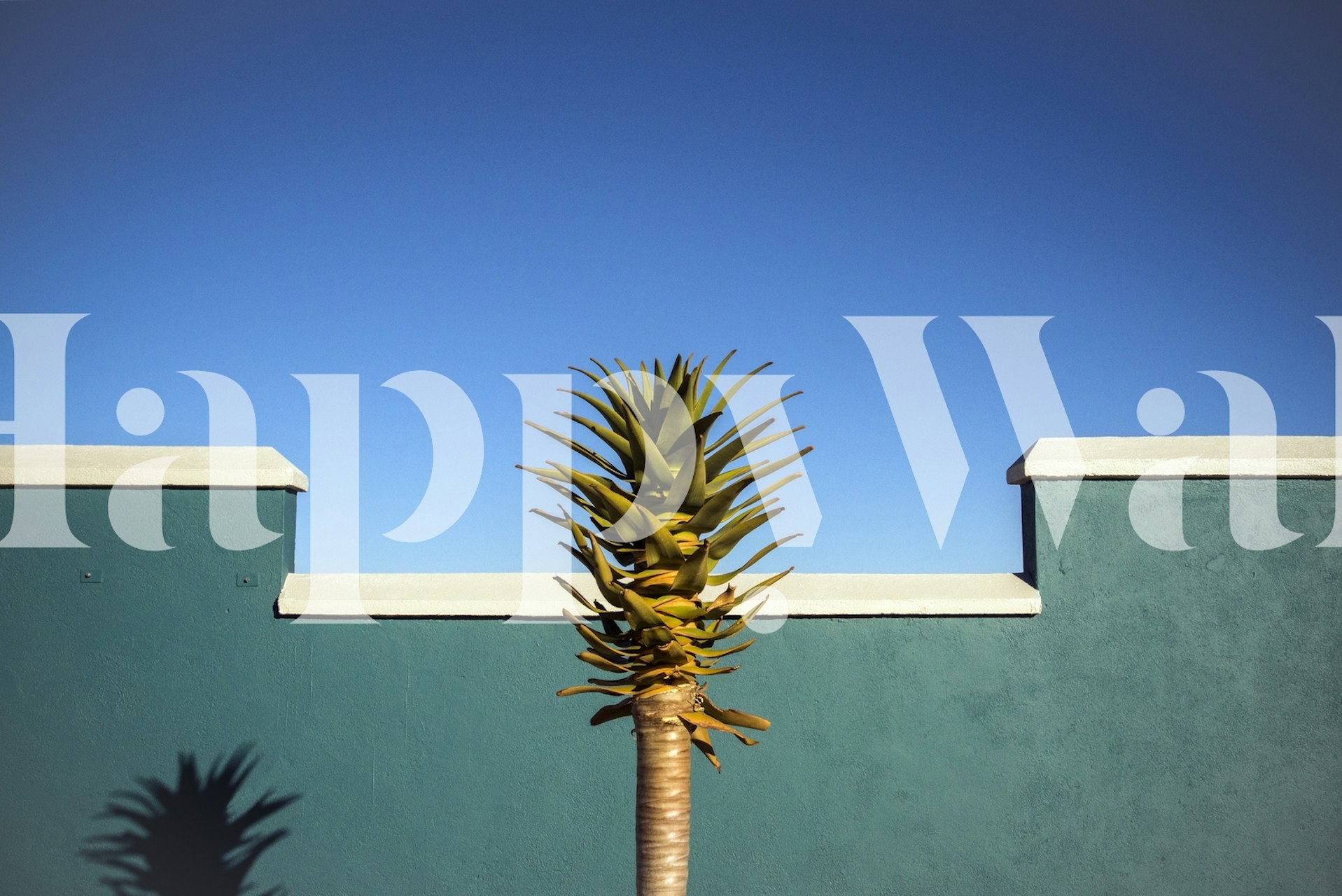 Lush green cactus and palm design on blue background wallpaper