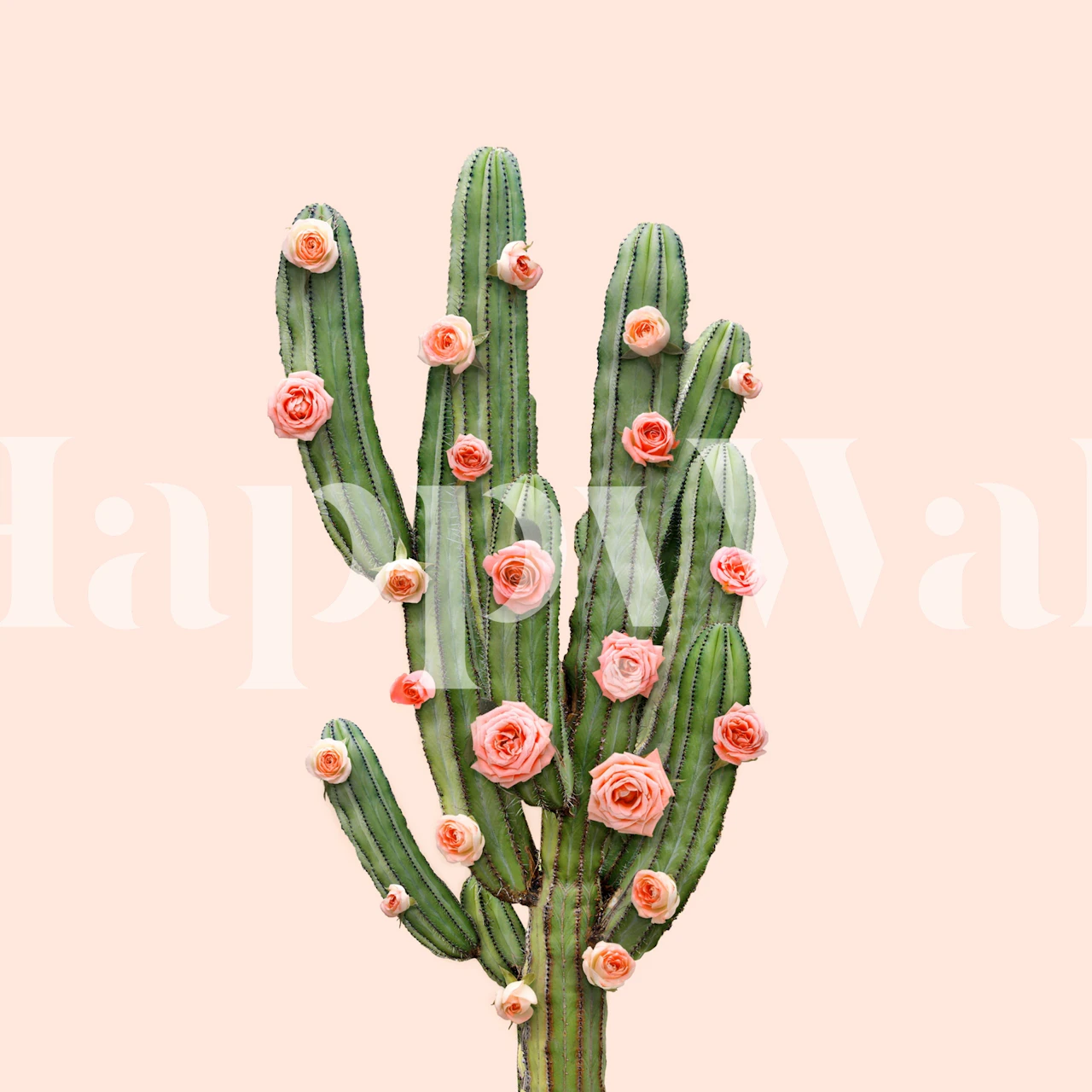 Kaktus I Ruže Zidna Slika S Kaktusom Ukrašenim Ružičastim Ružama Na Pastelnoj Pozadini