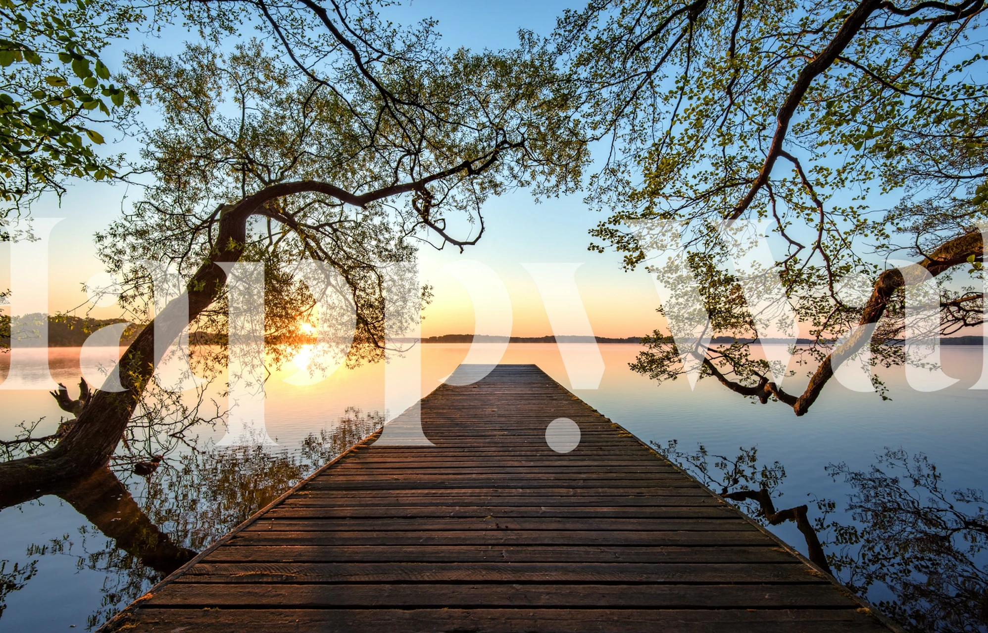 Nature landscape with wooden dock, trees, and water wallpaper