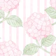 Dreamy Hydrangea Flowers in Painterly Pink