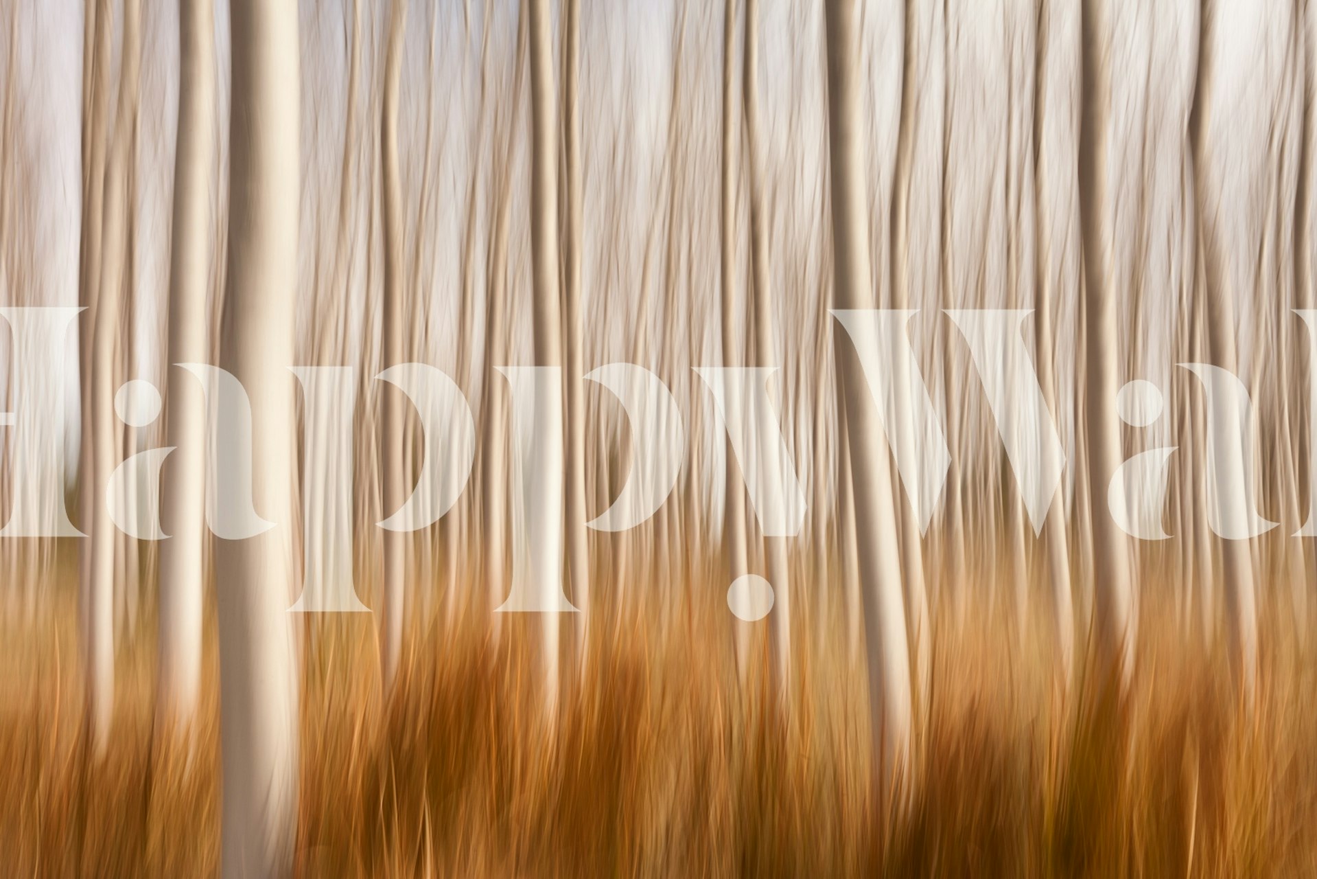 Spring impressions wallpaper in a room