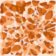 Tangerine leaf branches on ivory
