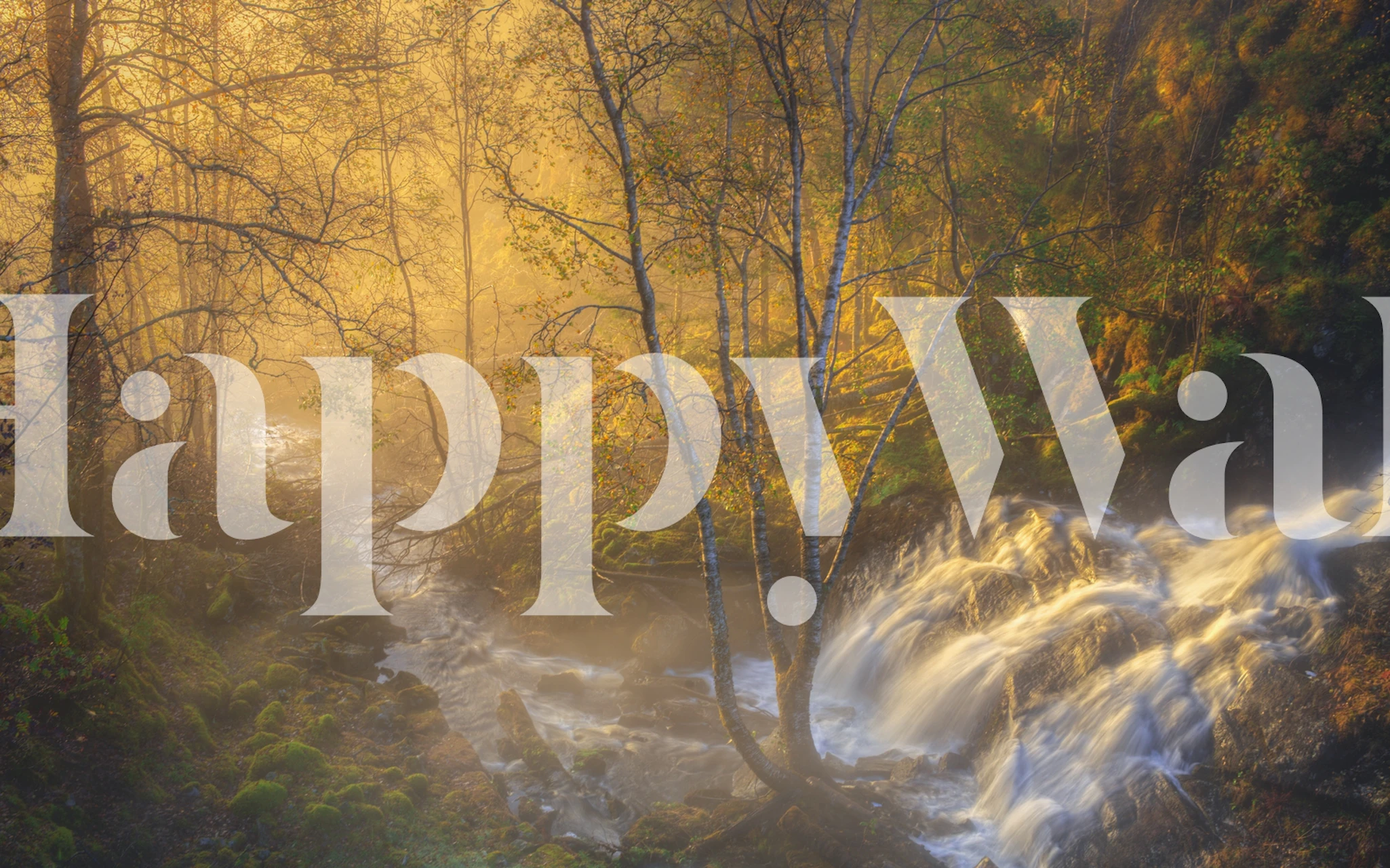 Tapeta First light w przytulnym pokoju