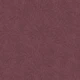 Dark Burgundy Foliage