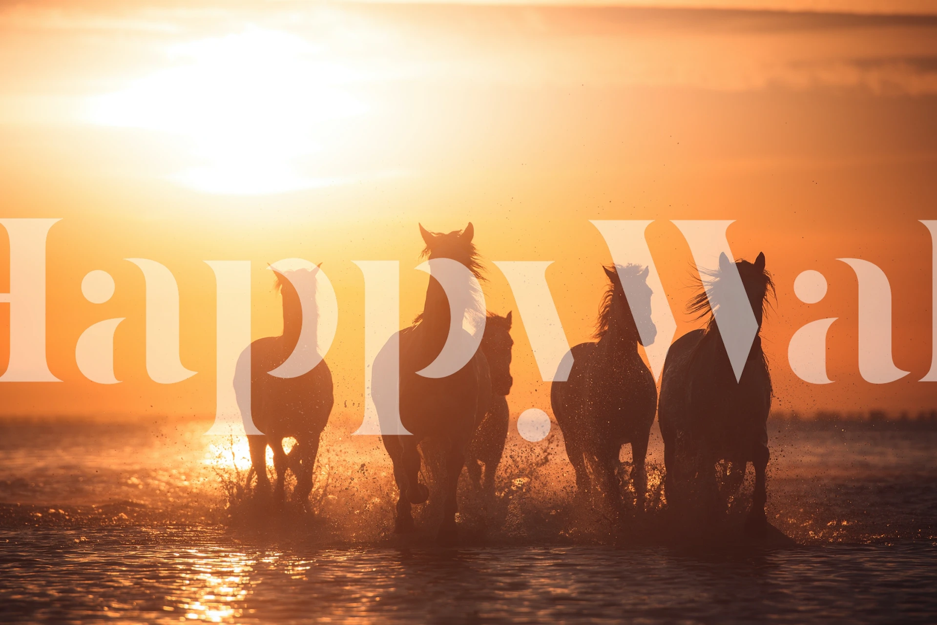 Horses running at sunset on wallpaper