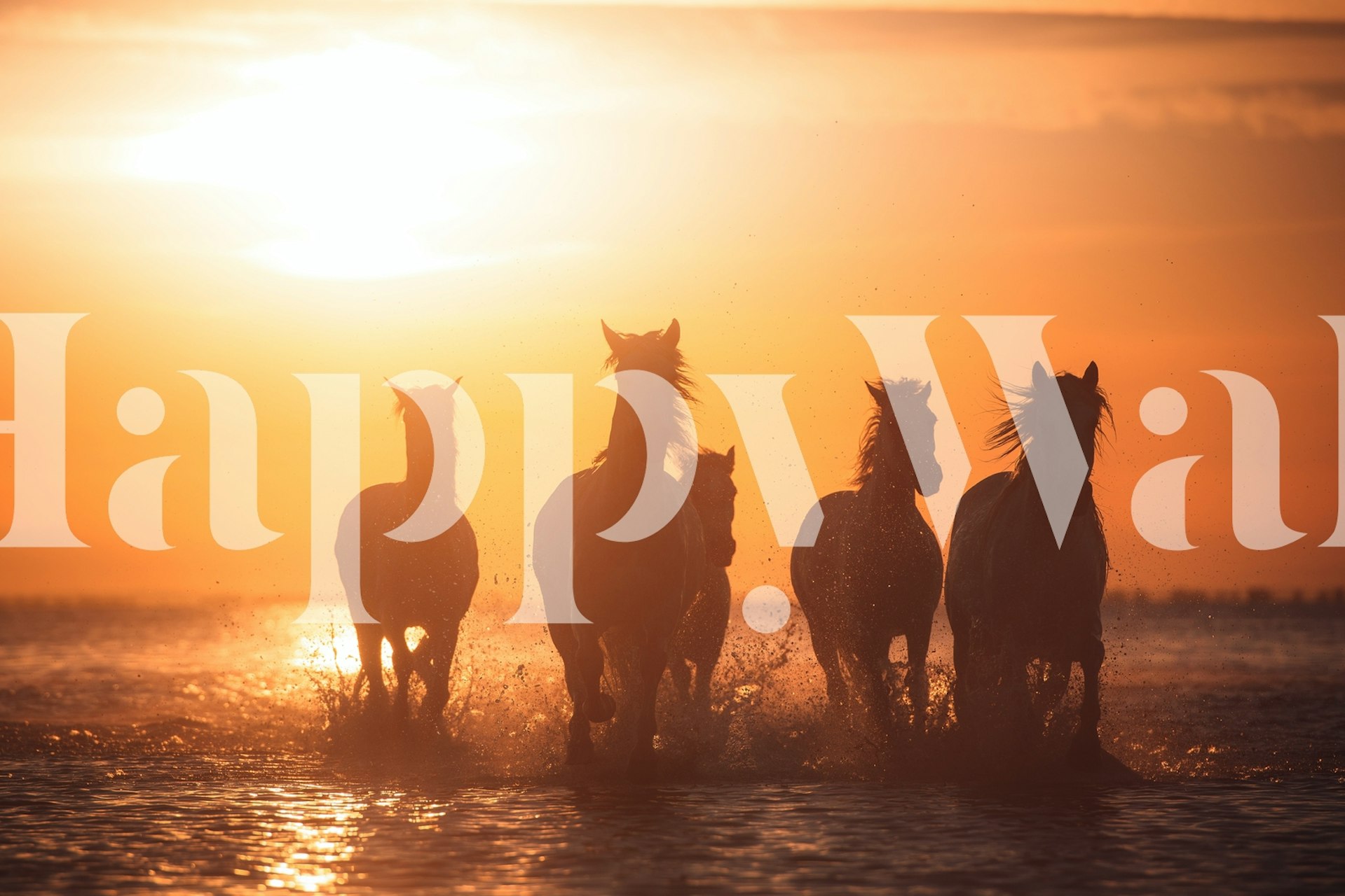 Horses running at sunset on wallpaper