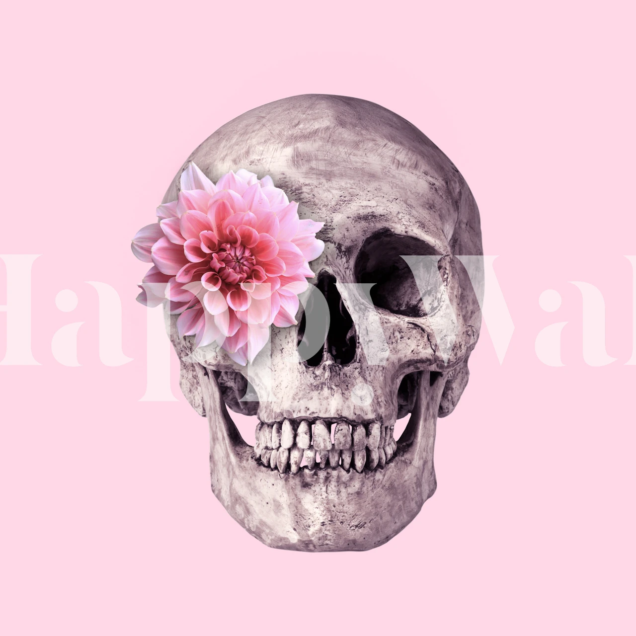 Detailed Flower Skull Wallpaper Design