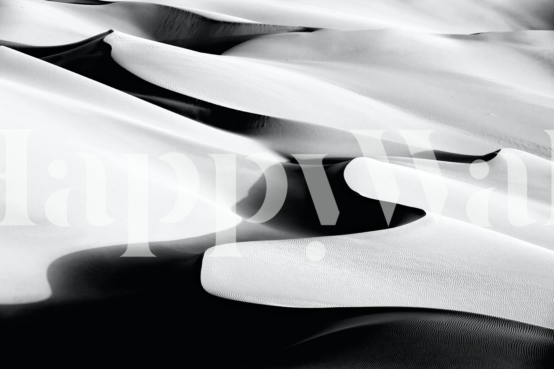 Dance-inspired wallpaper in a room