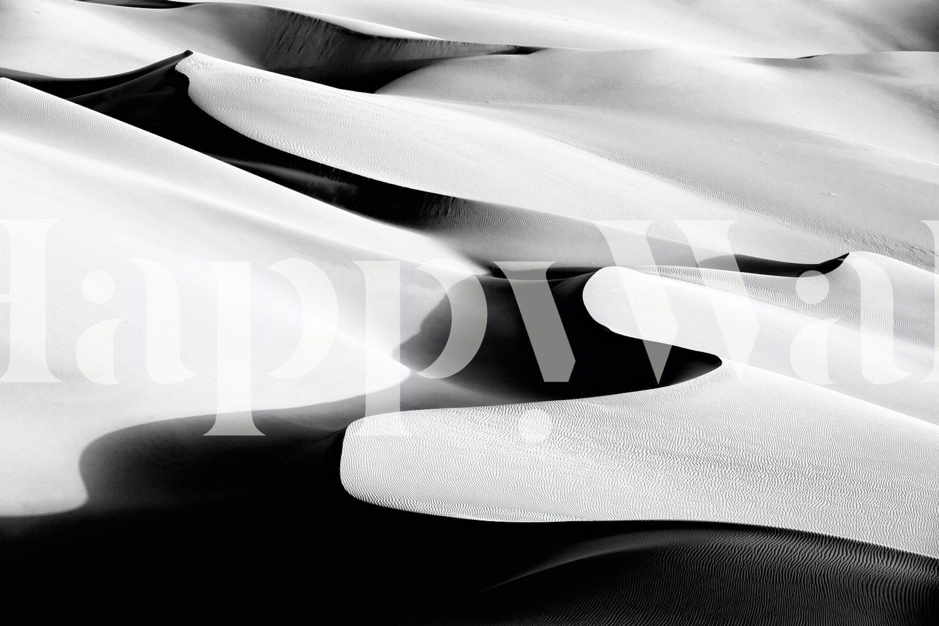 Dance-inspired wallpaper in a room