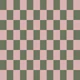 Sage Green Blush Gingham Check