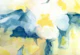 Pale Yellow Watercolor Brush Blocks