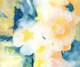 Powder blue petals and peach blooms