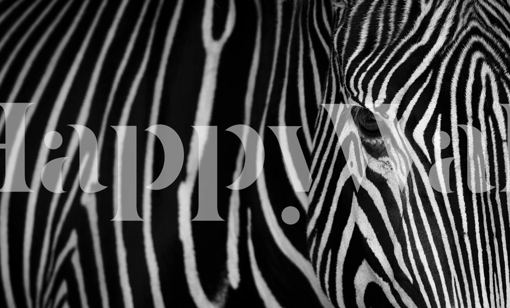 Black and white zebra stripes pattern wall mural