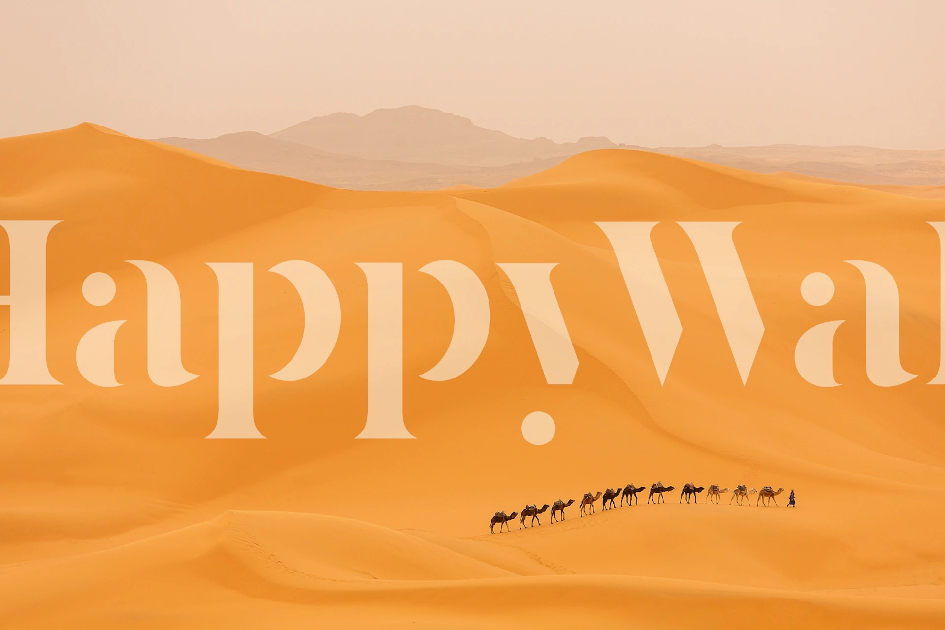 Camel caravan silhouette against warm orange Sahara sands wallpaper