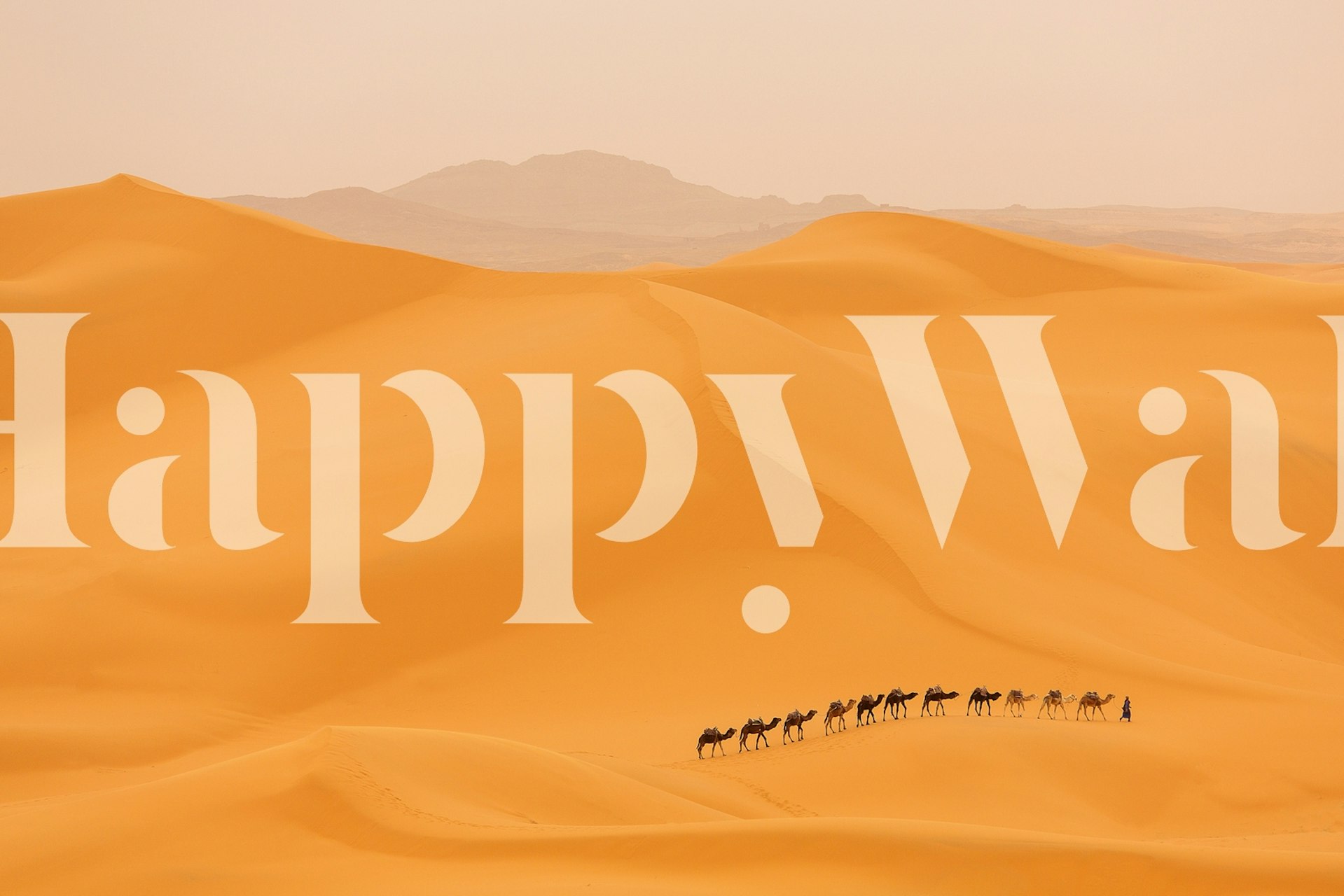 Camel caravan silhouette against warm orange Sahara sands wallpaper