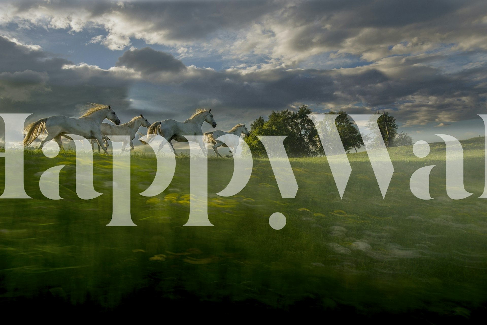 In the morning pink wallpaper in a room