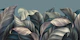 Tropical Leaves Design
