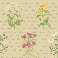 Beige wildflowers with green grass tapete