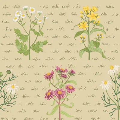 Pattern