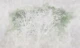 A Forest - Sage Green Misty Tree Silhouettes