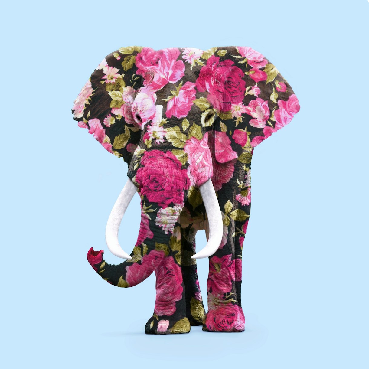 Floral Elephant Wallpaper | Happywall