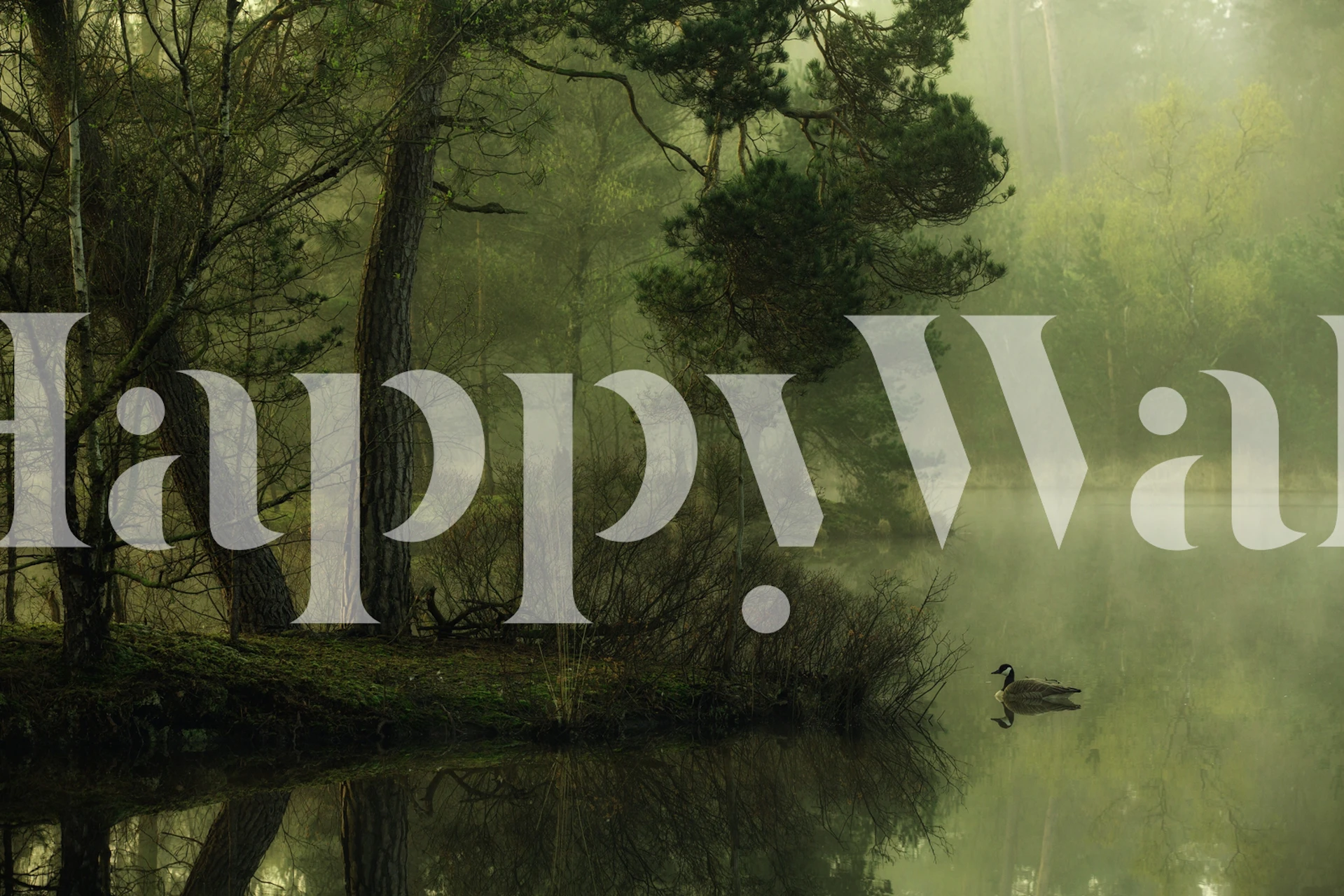 Tranquil spring lake scene wall mural with trees and reflections