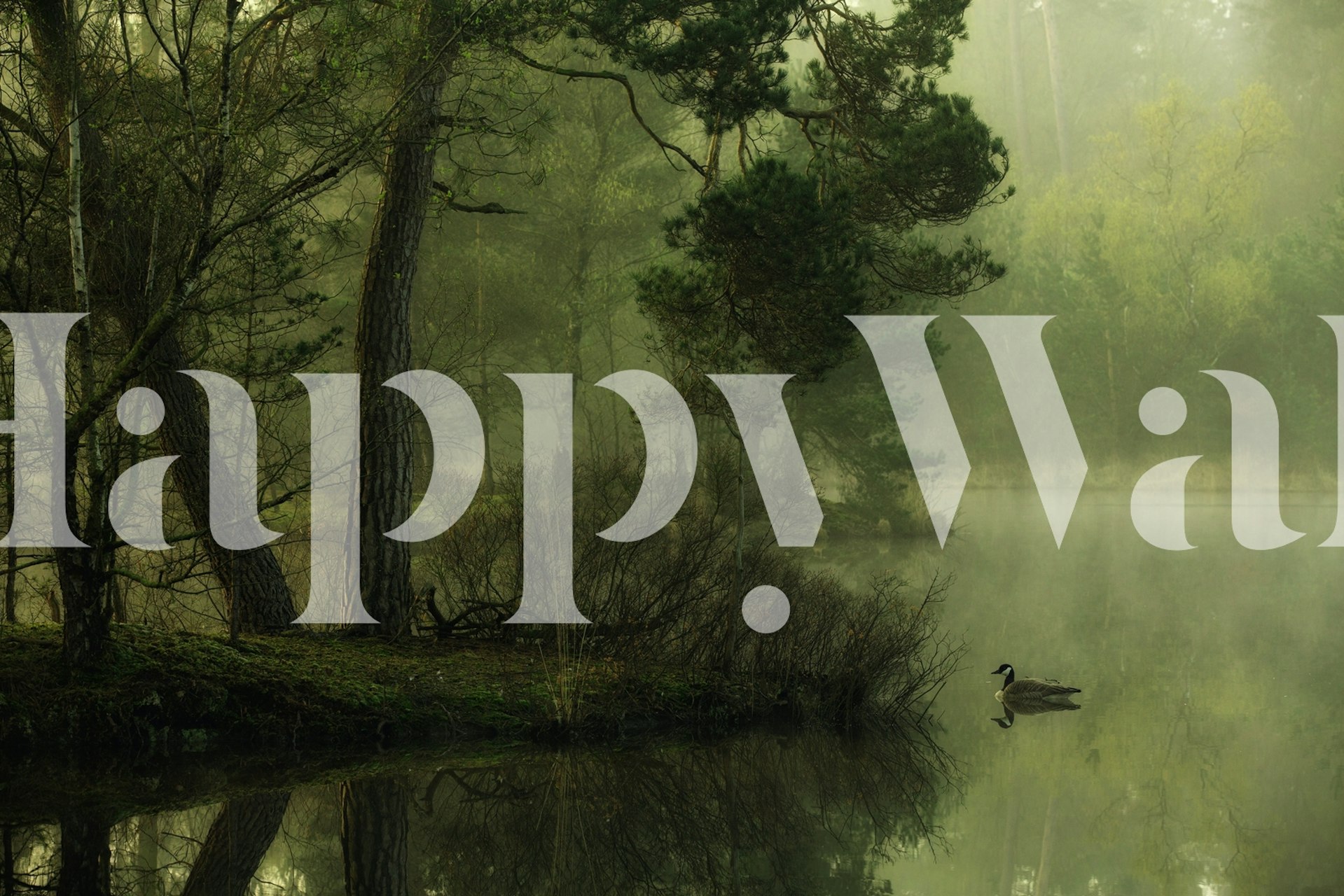 Fototapeta Klidné jarní jezero scéna se stromy a odrazy