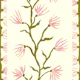 Japandi olivegreen botanical stripe on cream