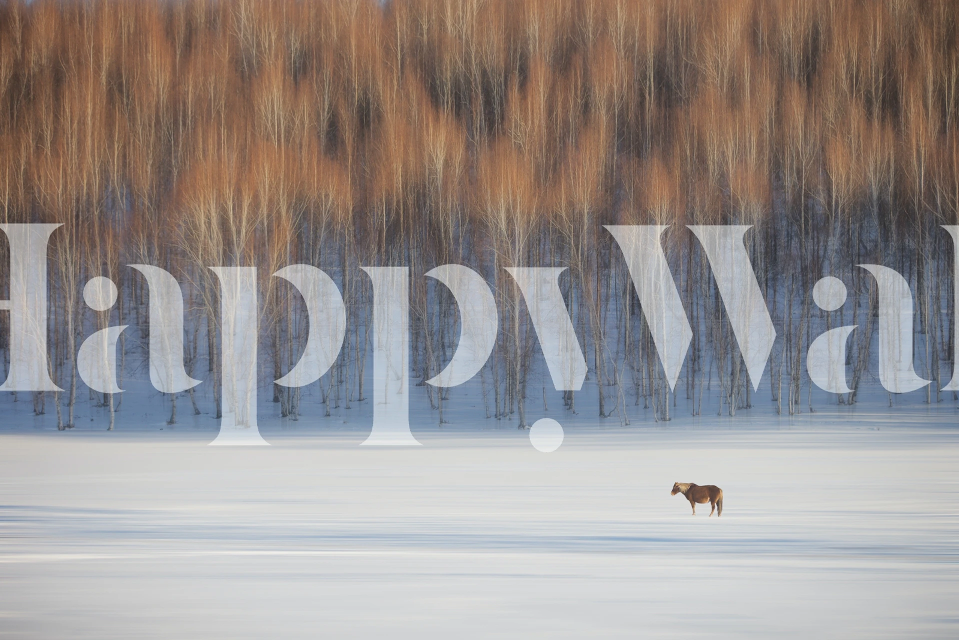 The winter papier peint avec neige et arbres