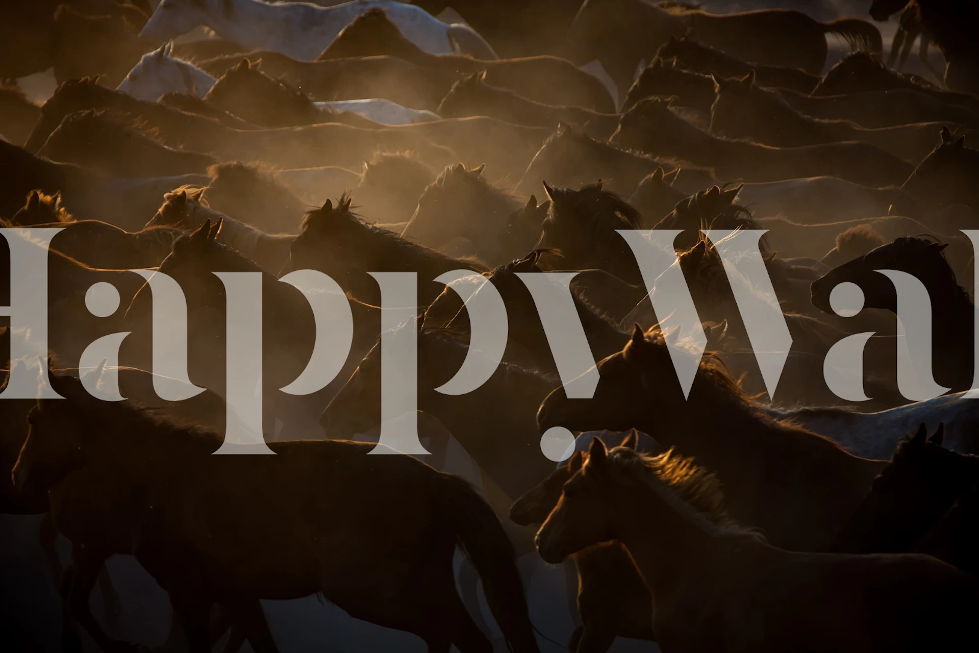 Horse herd wallpaper design in a room