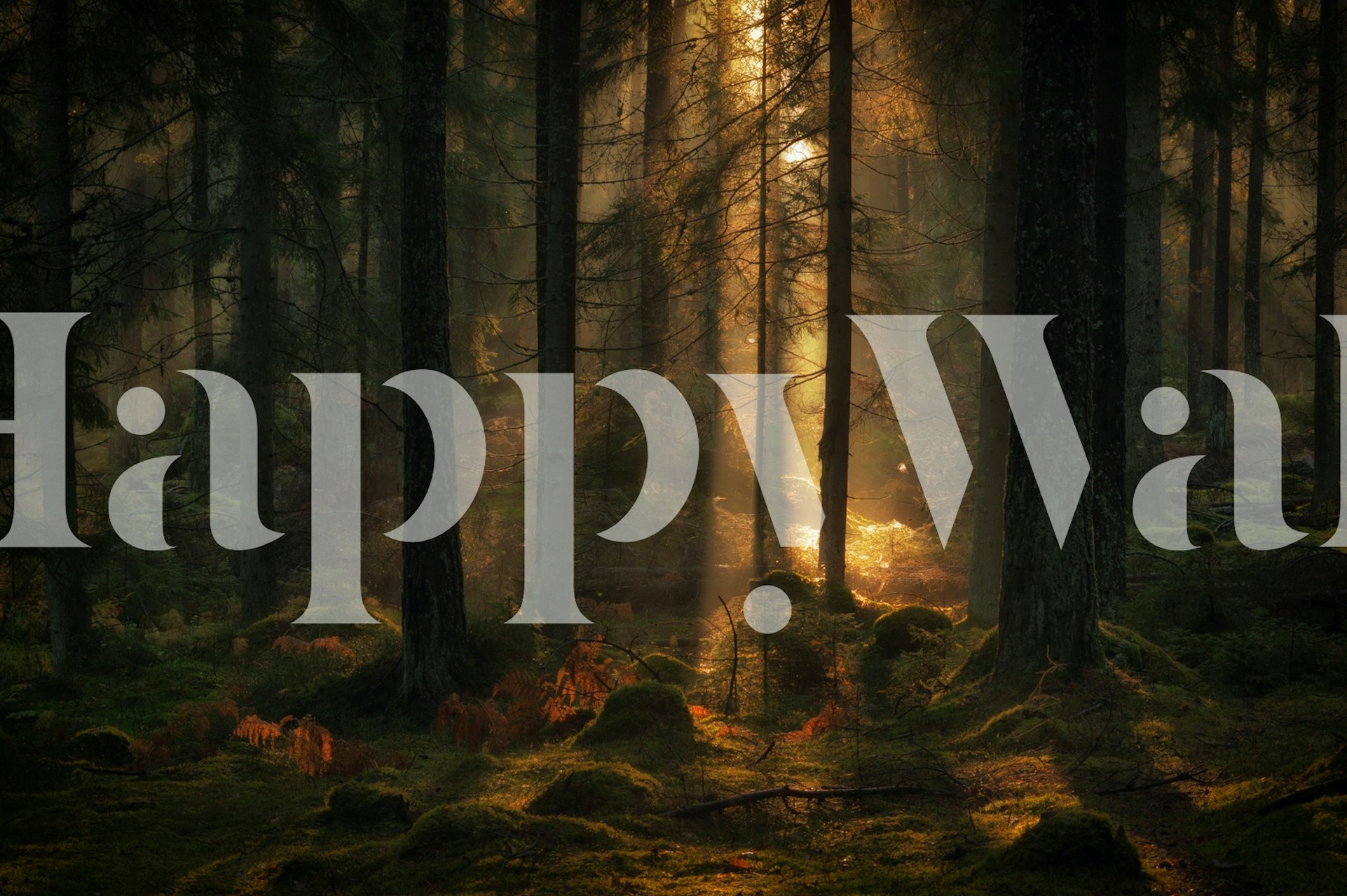 Luce solare che scorre attraverso gli alberi in un murale della foresta