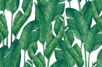 Organic Leafy Decor tapetas