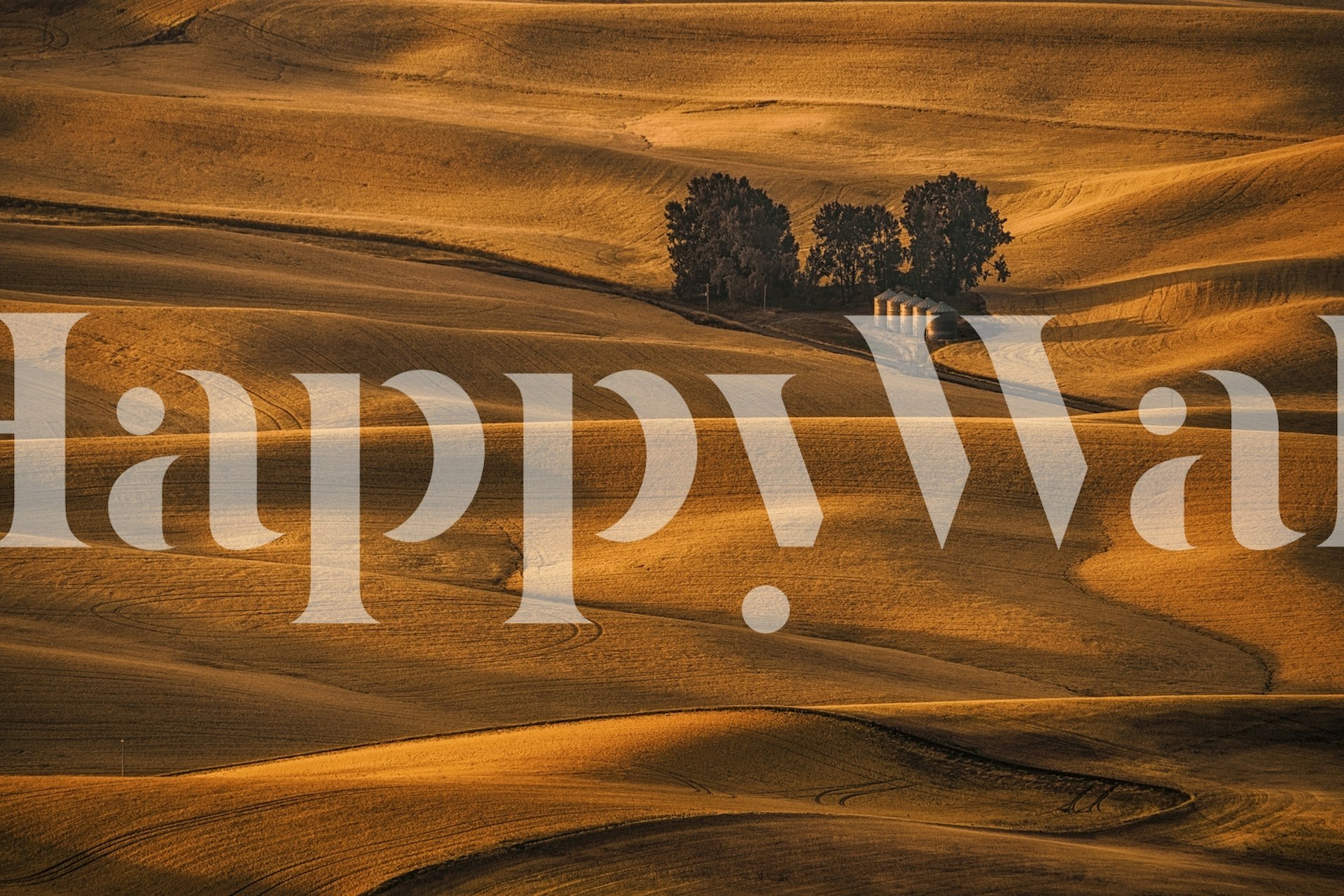 Golden field wallpaper in a room