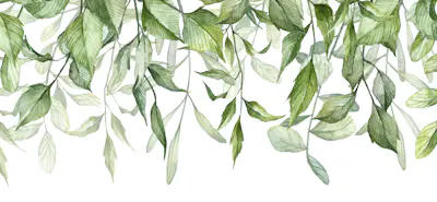 Mural