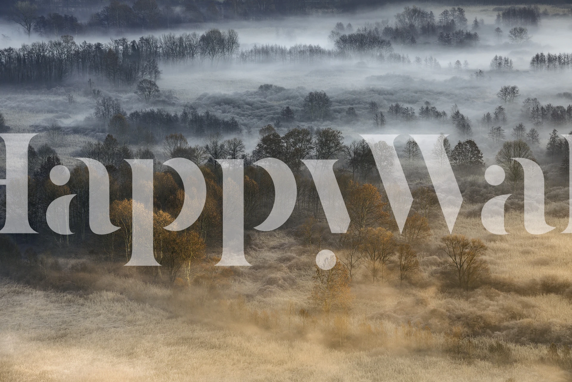 Autumnal misty dawn taustakuva huoneessa