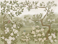 Olive Green Tree Canopy White Blossoms tapete