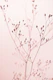 Wildflower Rainkohl Rose Blush Pink Dried