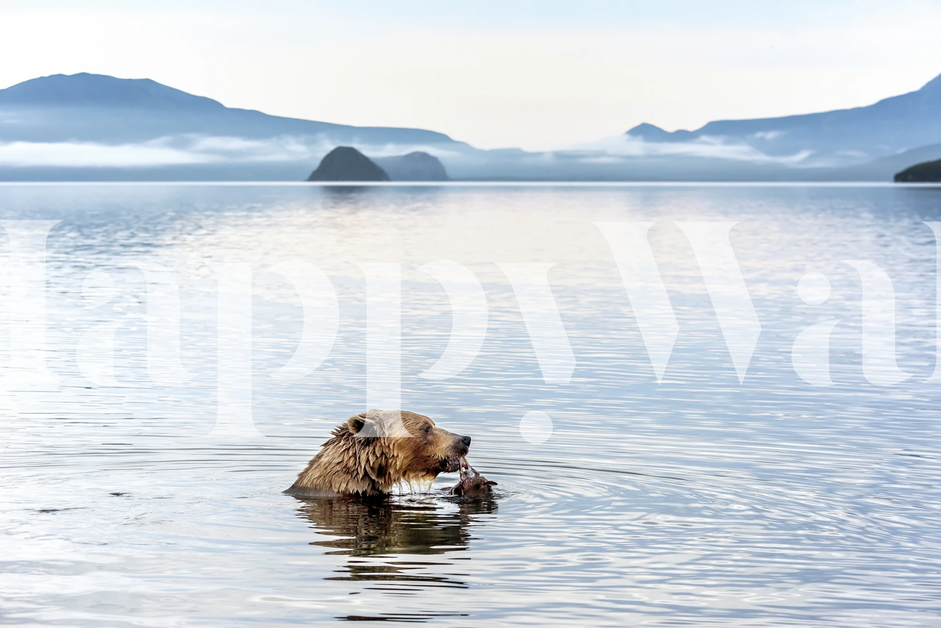 Kurile Lake wallpaper in a cozy room