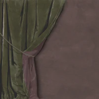 Velvet Drapery with Tie - Green & Taupe wallpaper