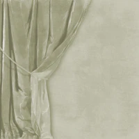 Velvet Drapery with Tie - Sage Green wallpaper