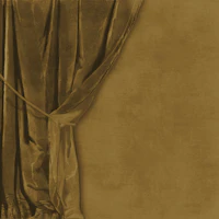 Velvet Drapery with Tie - Brown & Ochre wallpaper