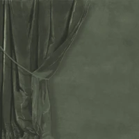 Velvet Drapery with Tie - Olive Green wallpaper
