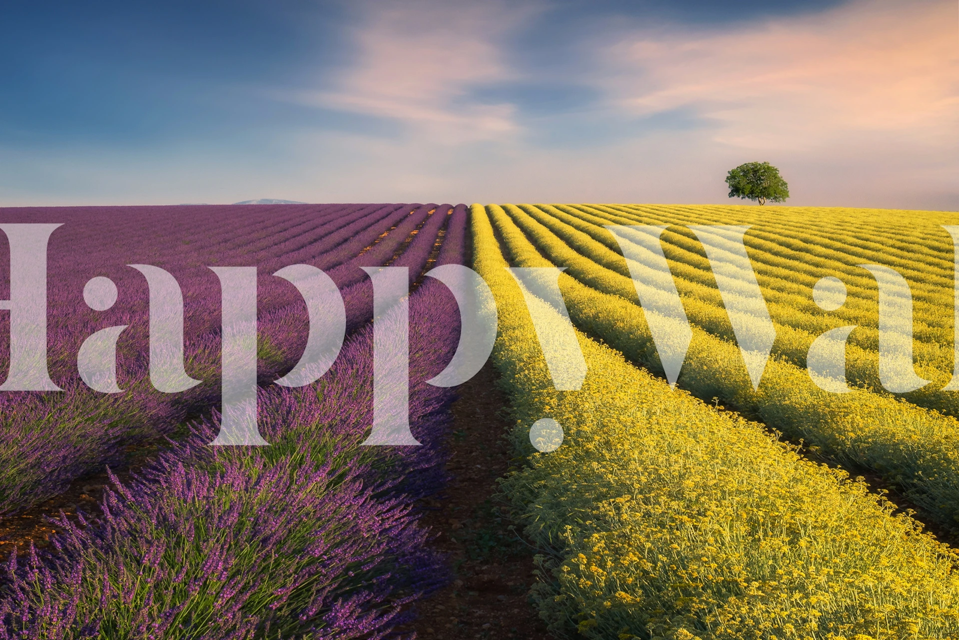 Violyellow wallpaper design in a room