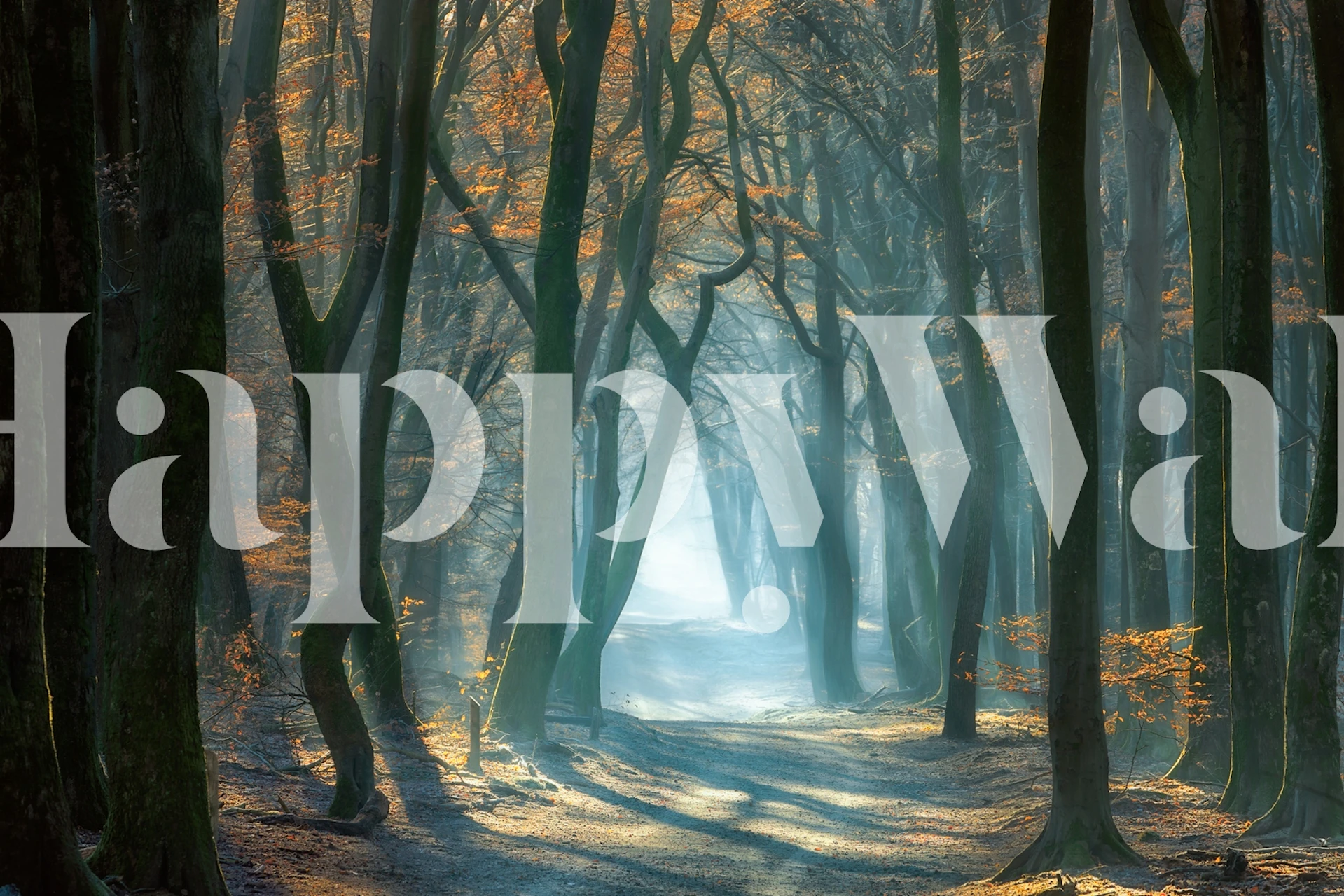Misty forest scene with sun rays, brown tree trunks, autumn leaves wallpaper