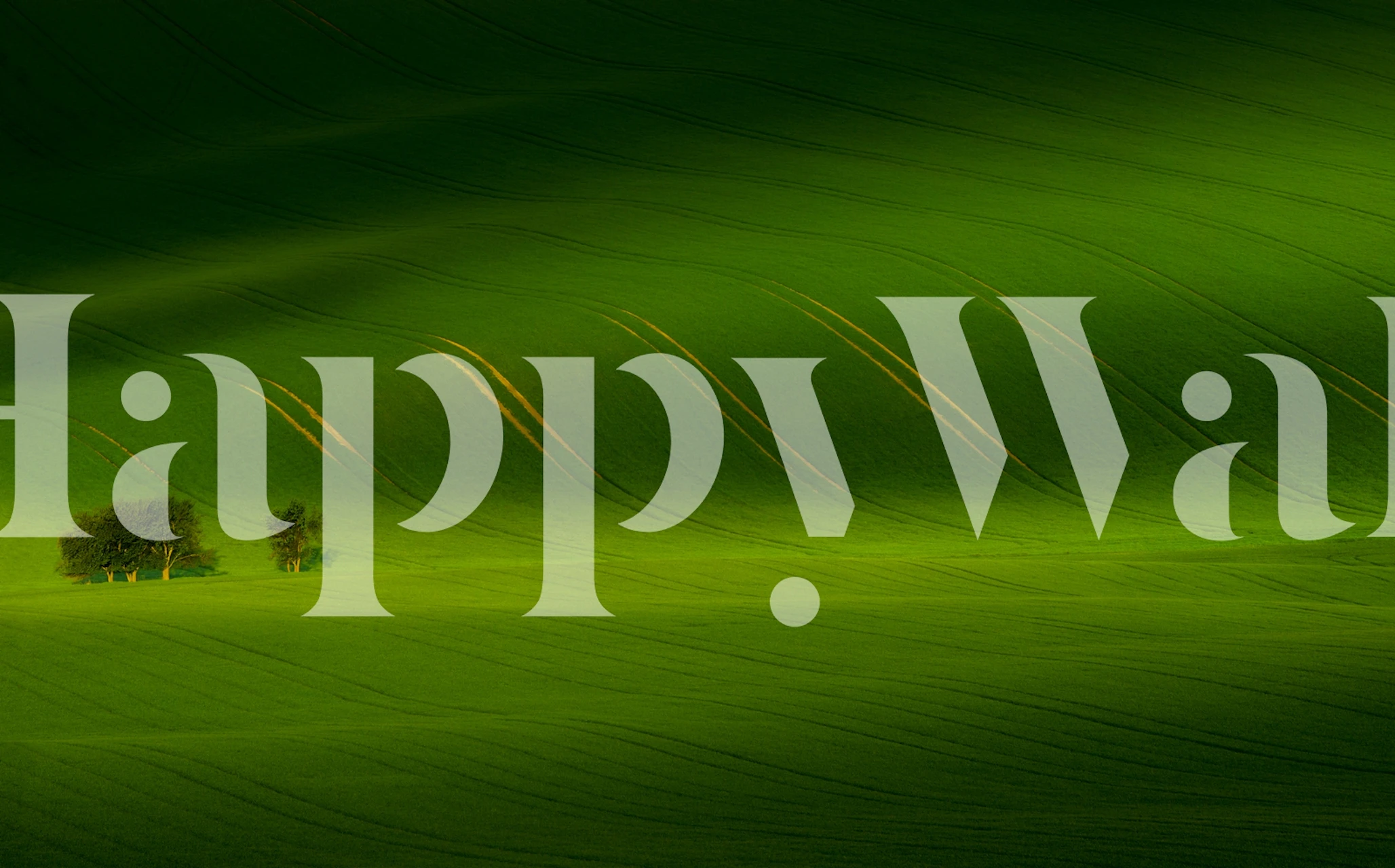 Rolling hills wallpaper in a room