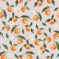 Welcome Clementine on on light grey wallpaper