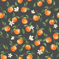 Welcome Clementine on dark grey tapete